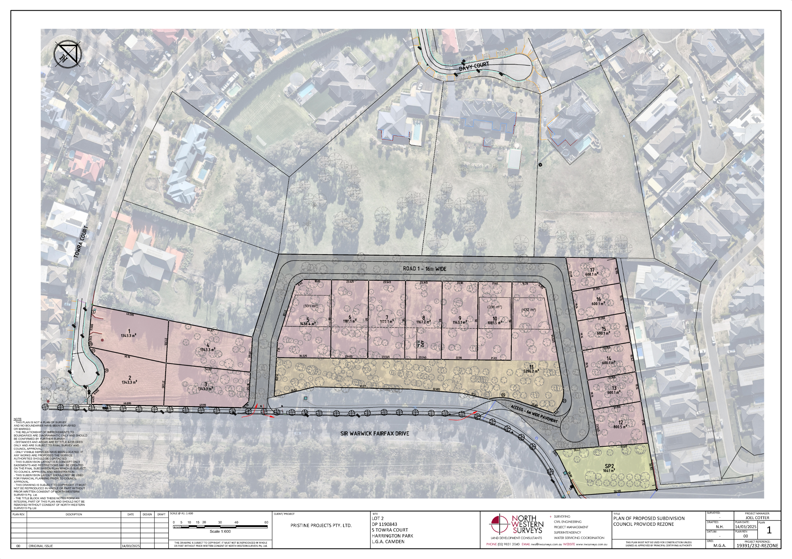 Draft subdivision plan (not Council endorsed) 